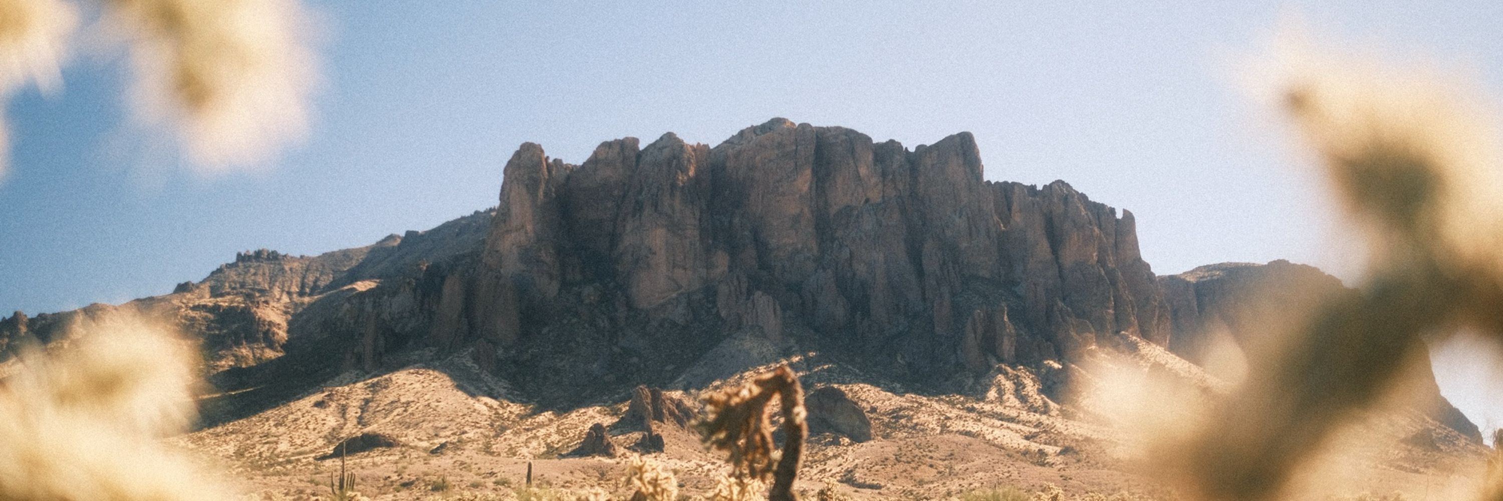 Sean Totman | Wildlife & Landscape Photographer
