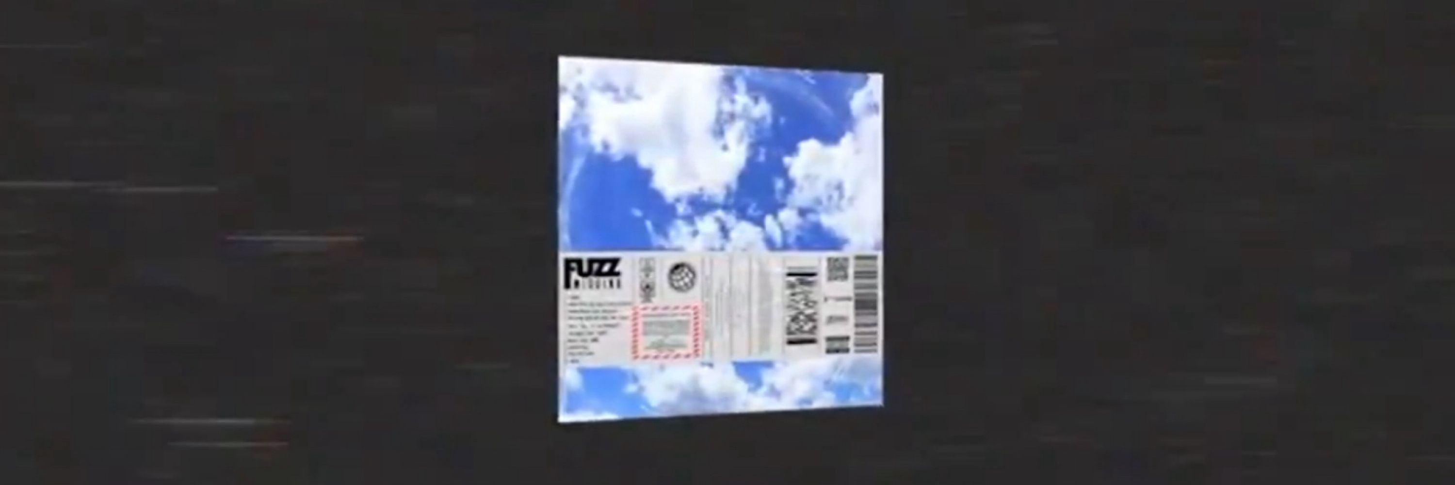 Fuzz