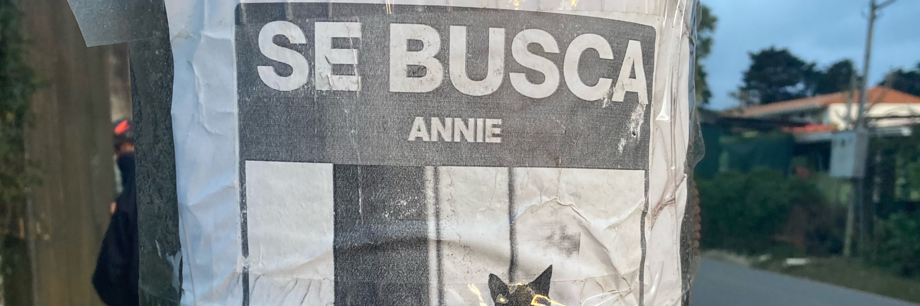 Annie is outside