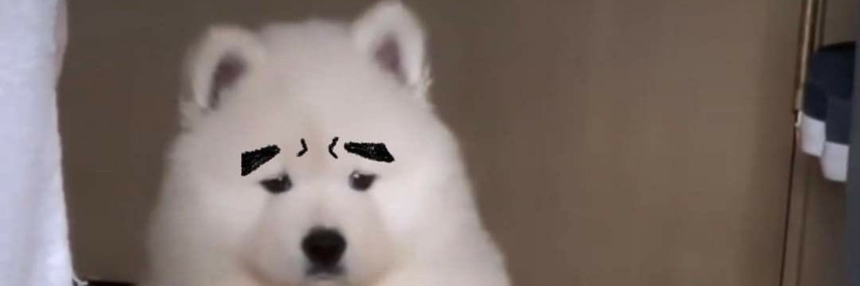 NOPPANAN