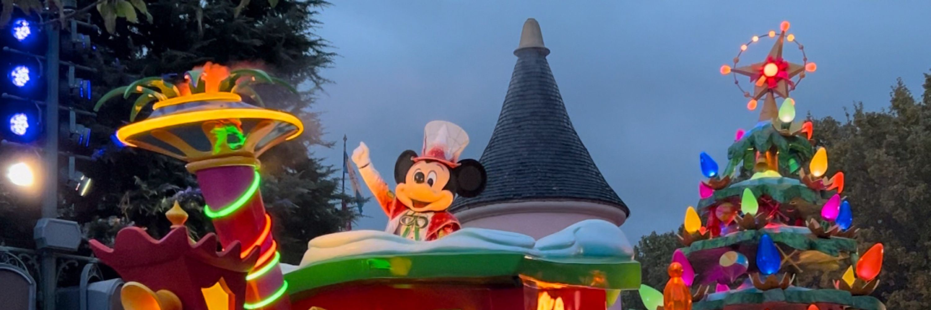 Disney Fan