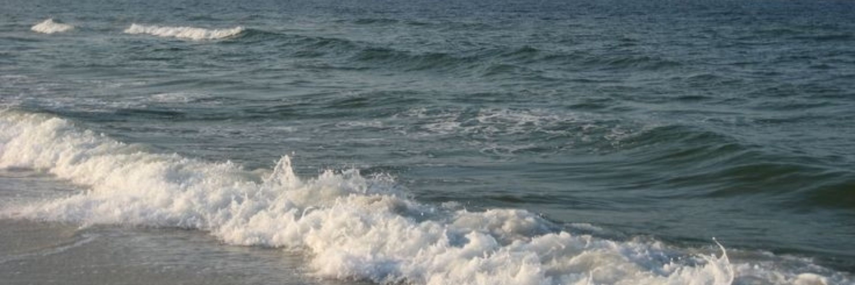🌊