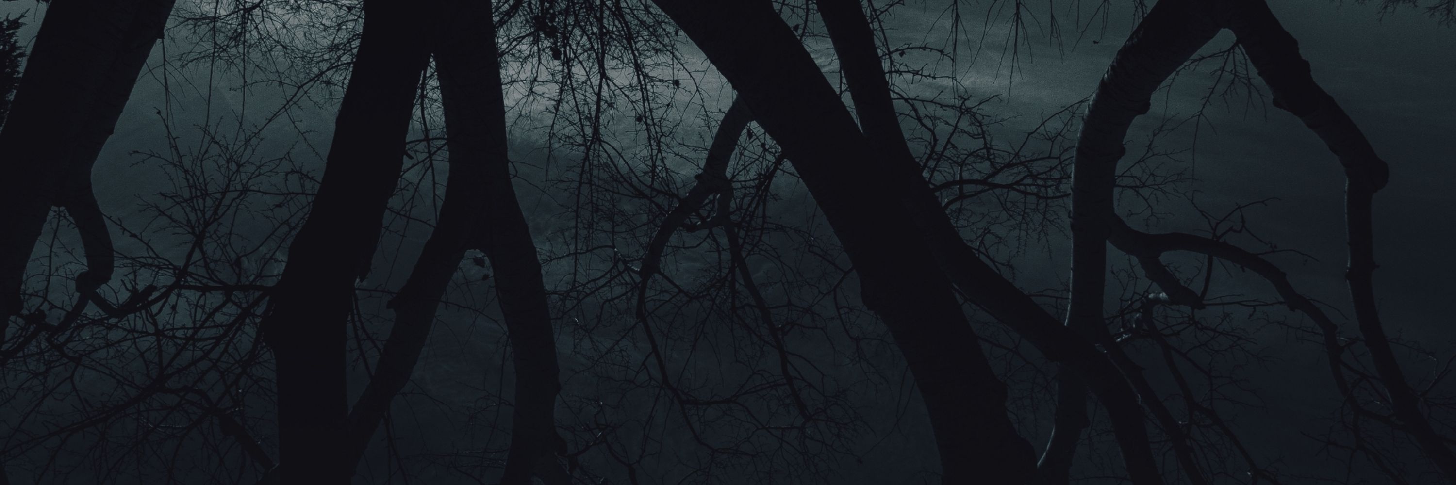 H.Burak