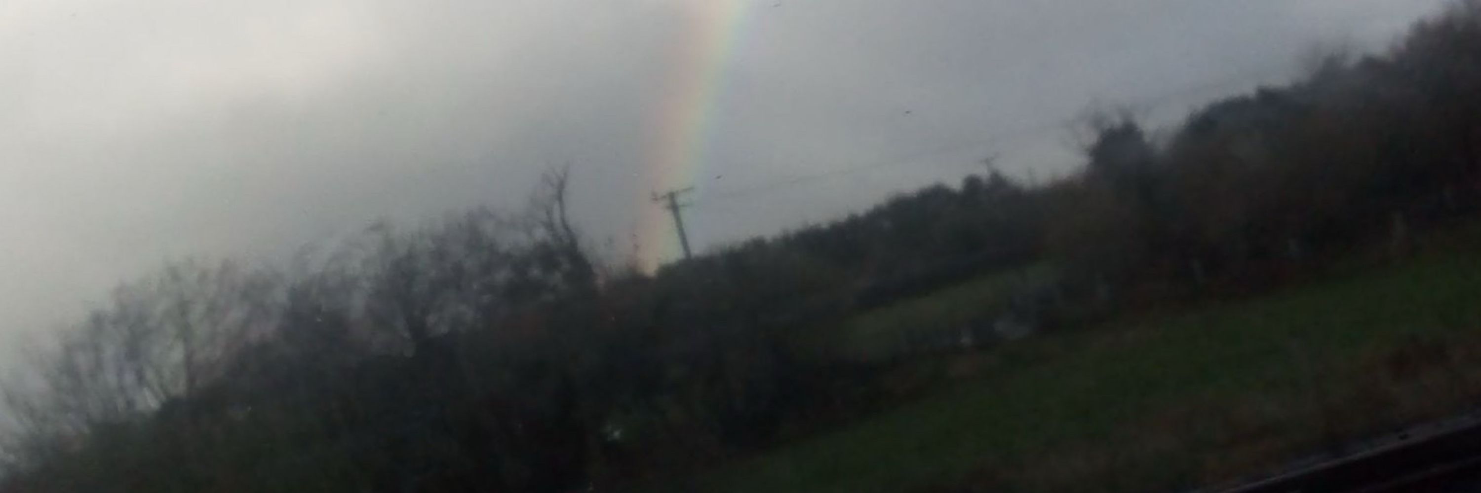 ☘️