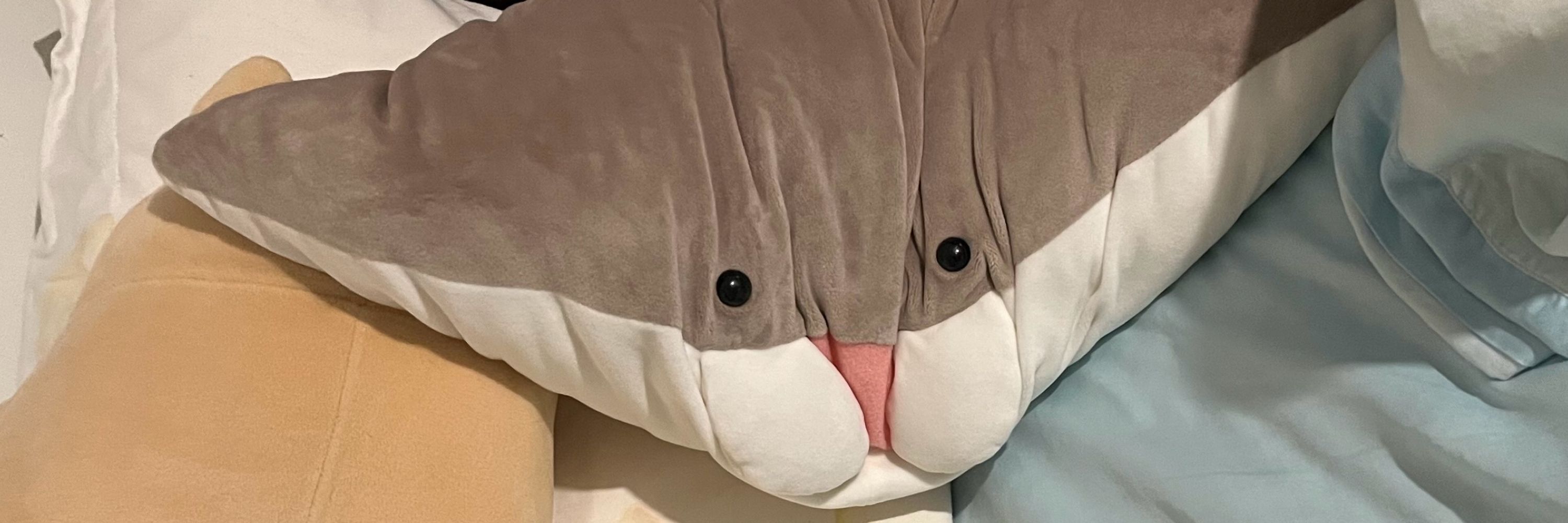 失憶魟魚