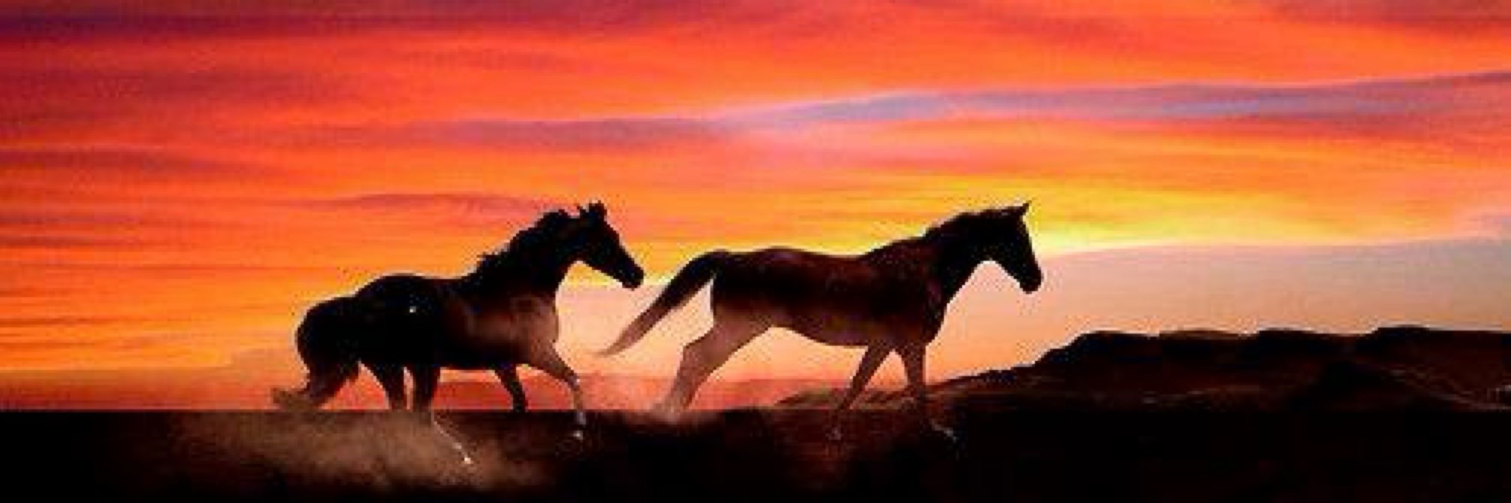 Blackfoot Niitsítapi 🪶🇨🇦🇺🇸🏳️‍🌈🏳️‍⚧️💙🌎🐝