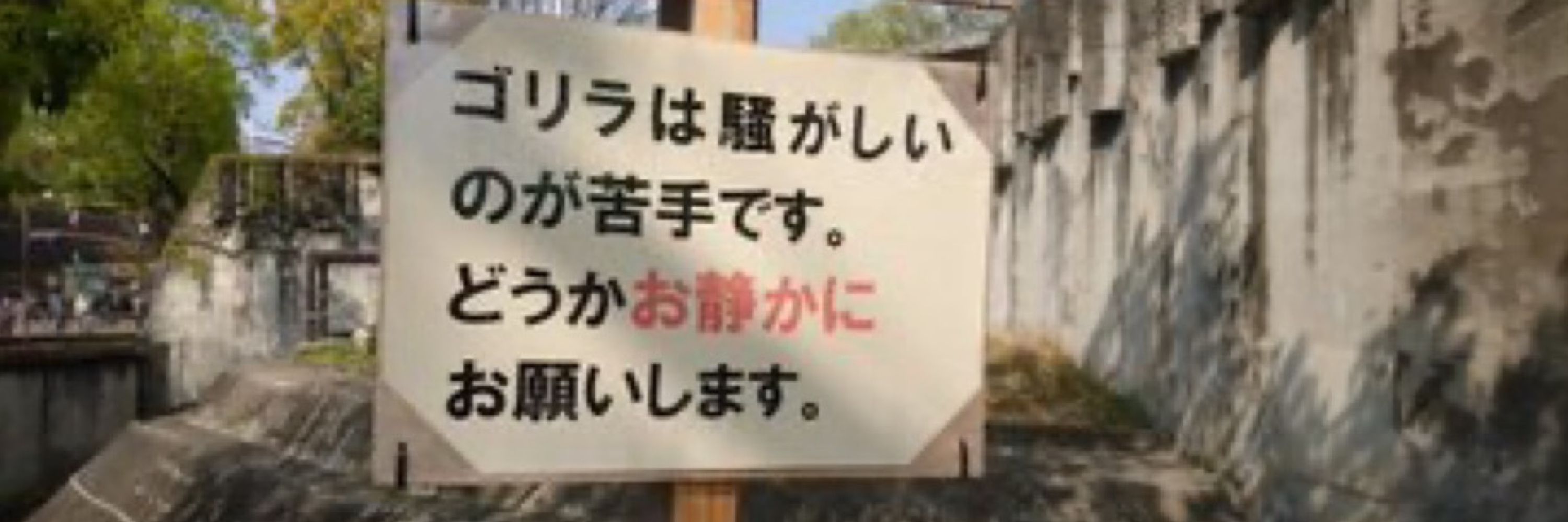 みぞ