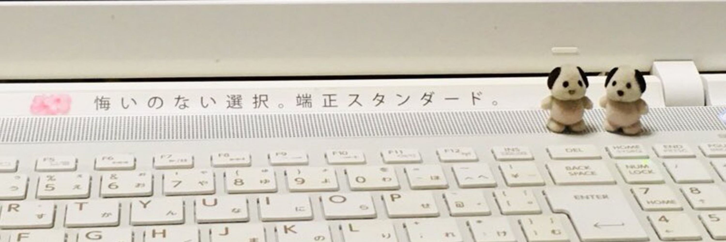ムシュー・満身創痍