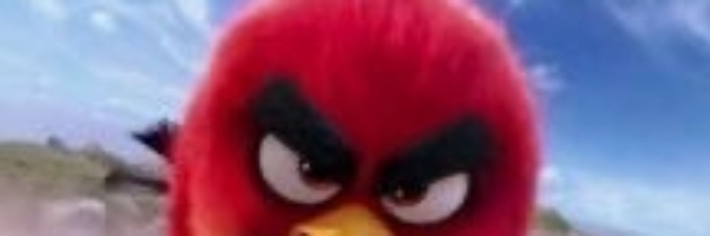 spooper