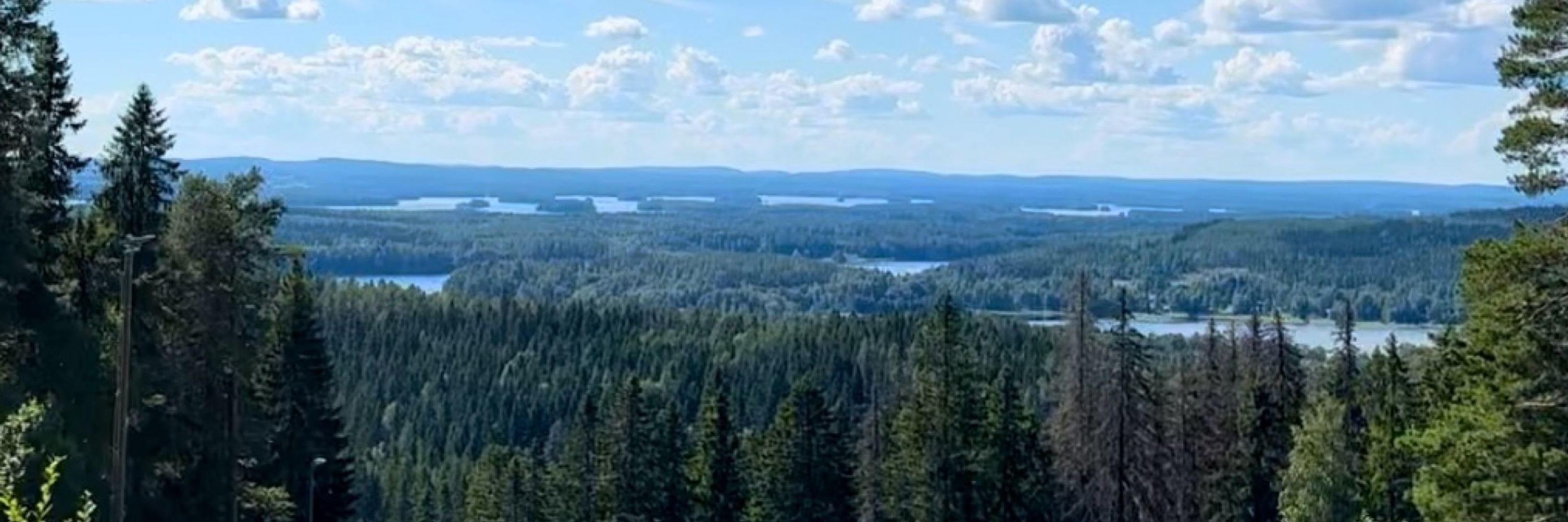 Esa Ruuskanen