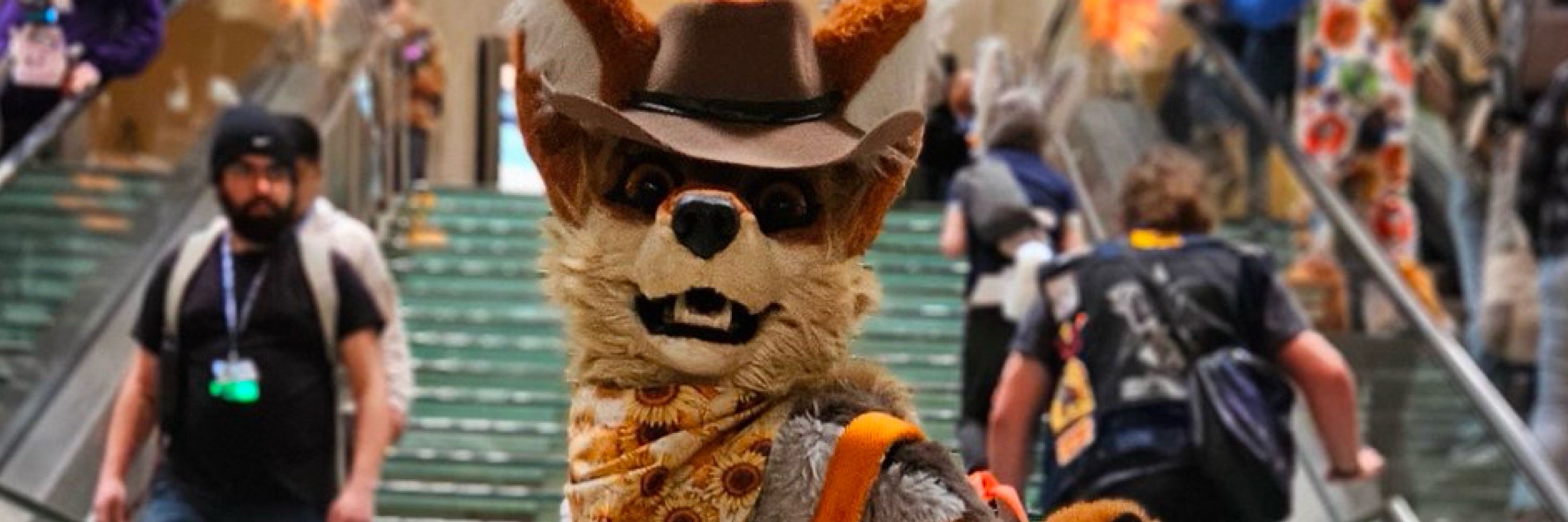 🔶🌵 COYOTE 🌵🔶
