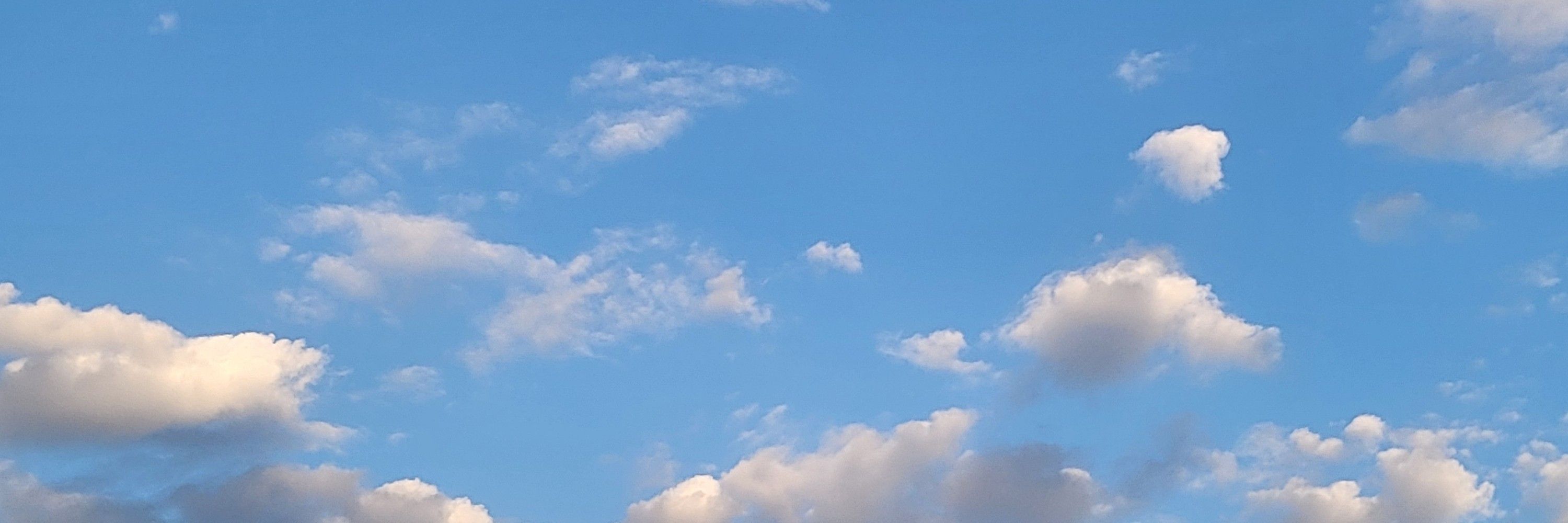 ⊹ʝօყ₊˚✧ 🍉