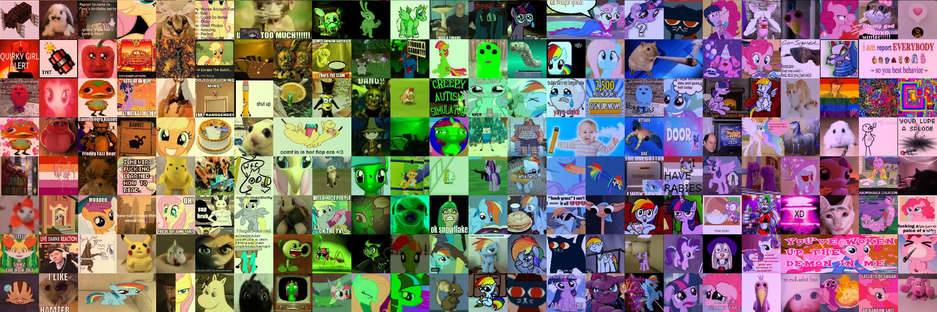 dashie