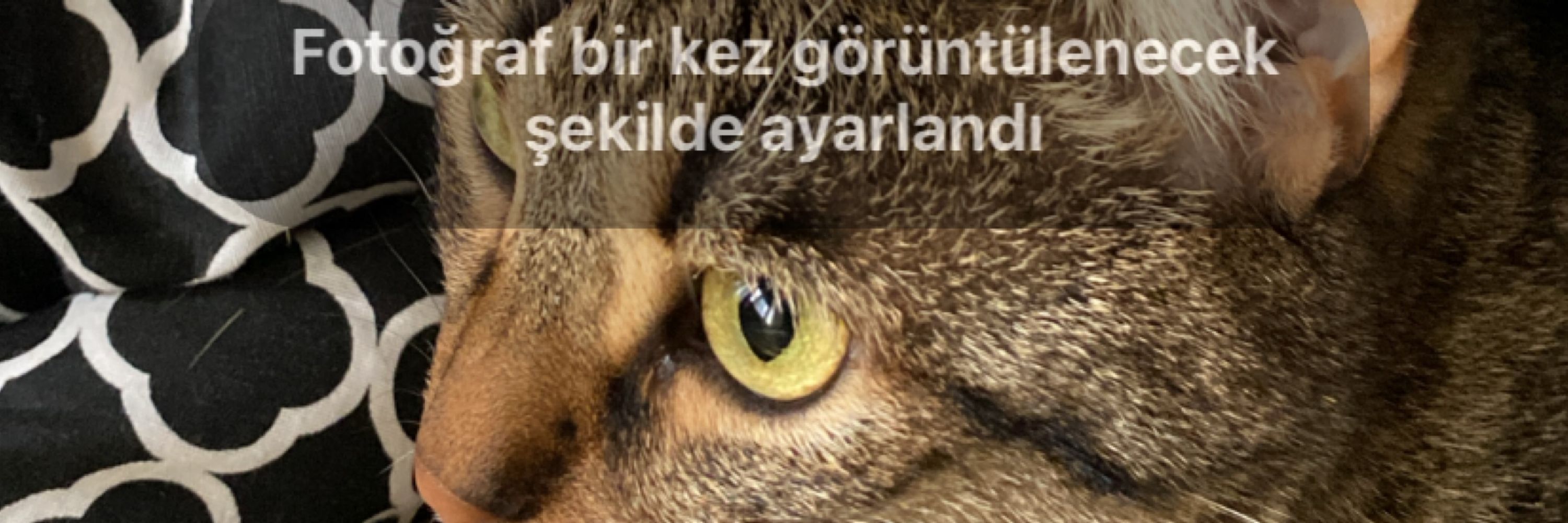 seda