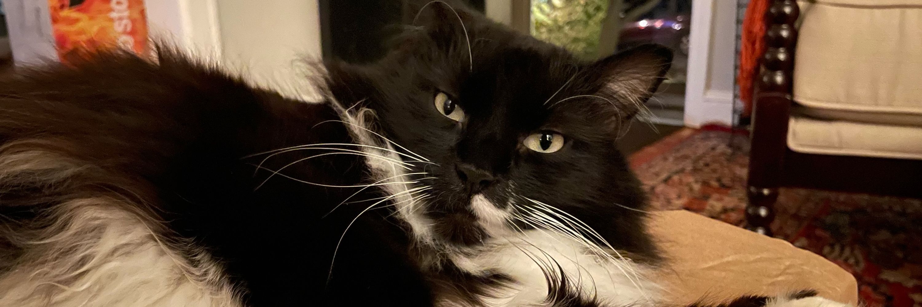 Tom