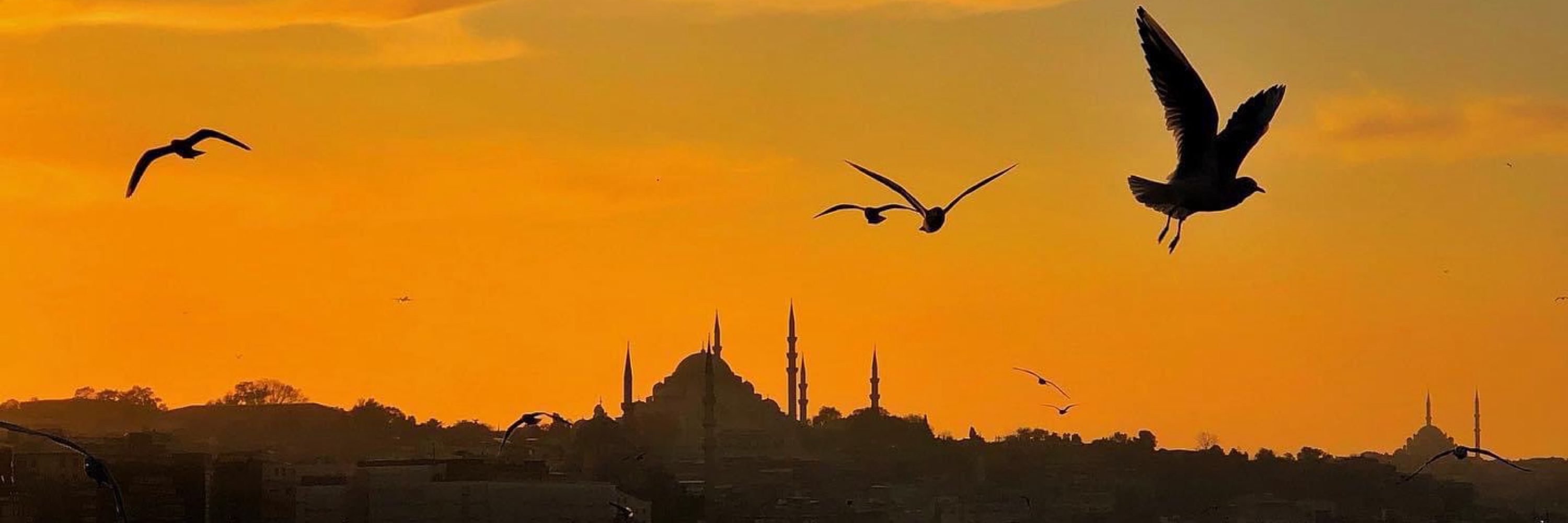 Özcan Çiçek
