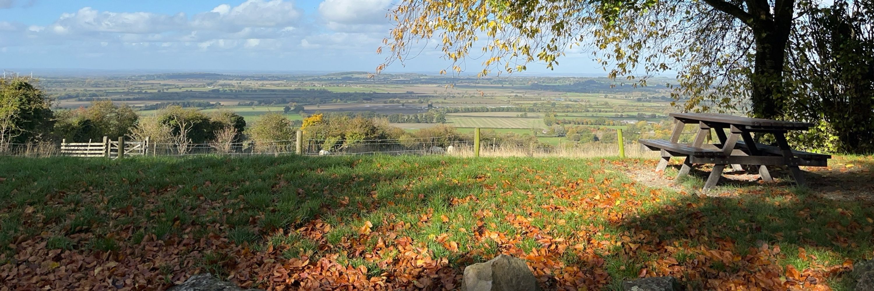 AutumnAttic