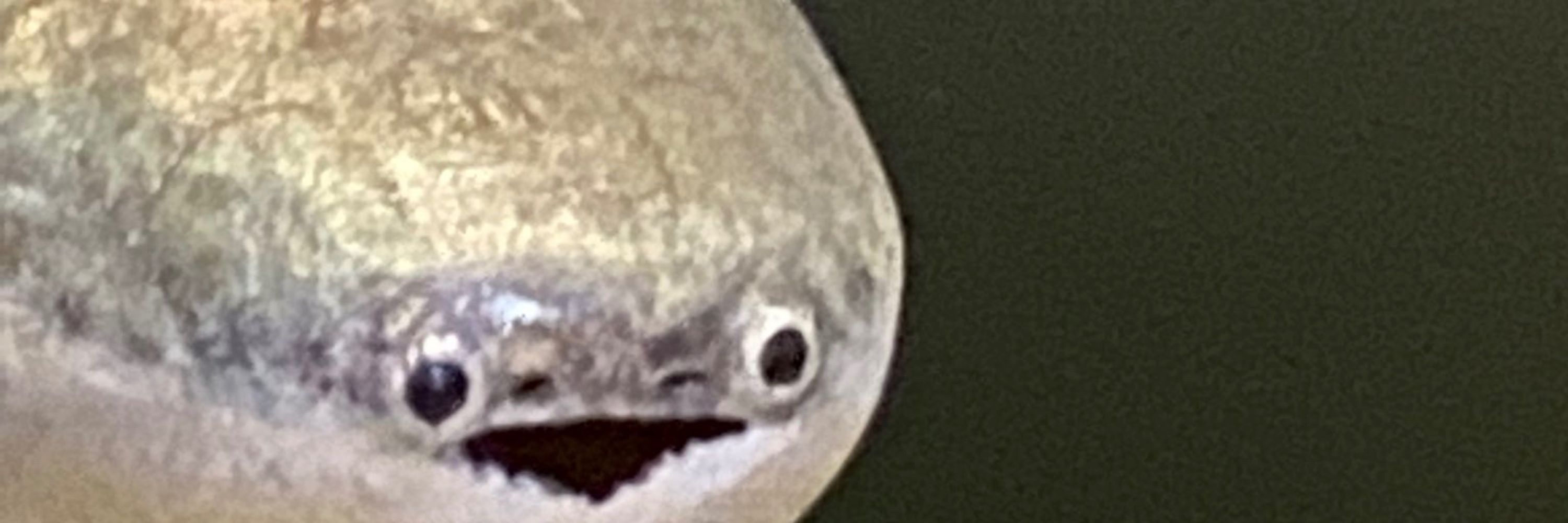 al