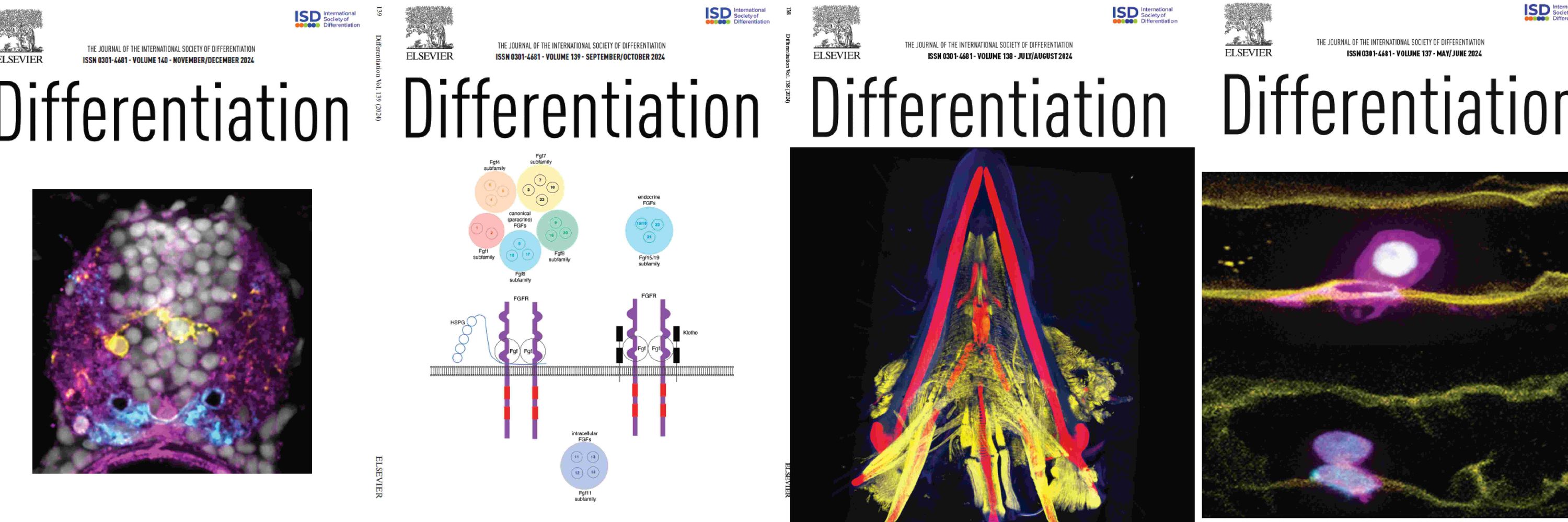 Differentiation Journal
