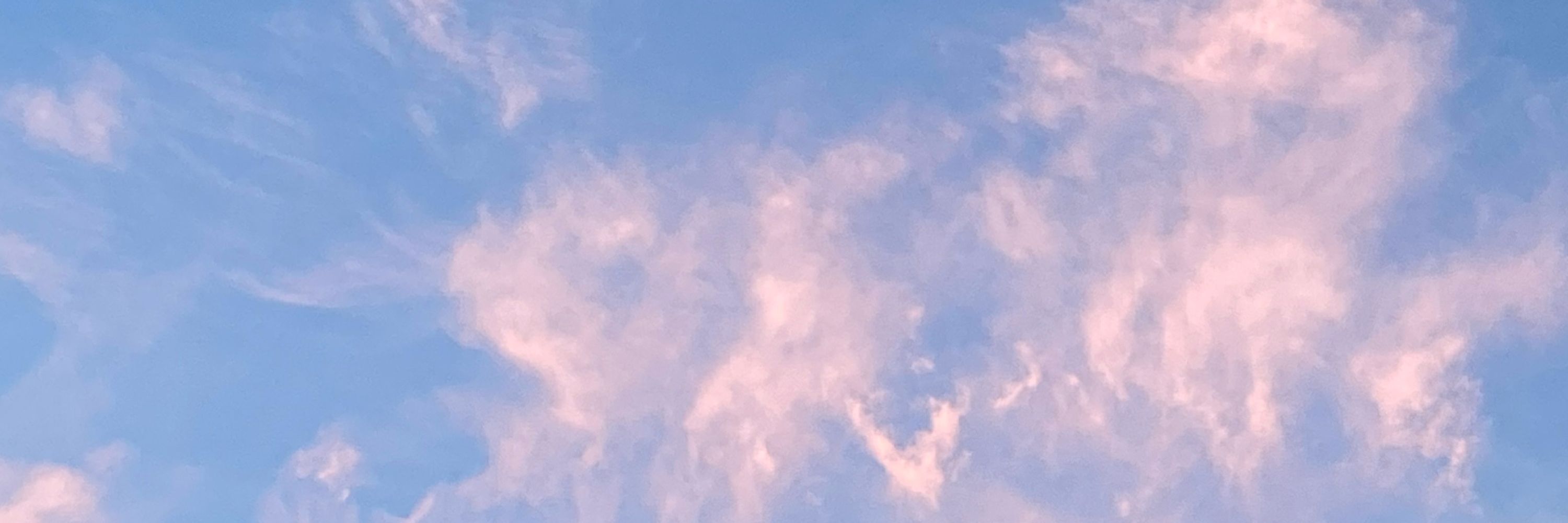 さやこ