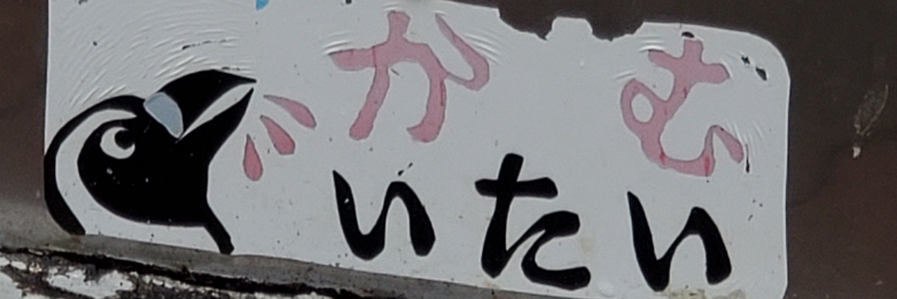 蕎麦島(・Σ・)
