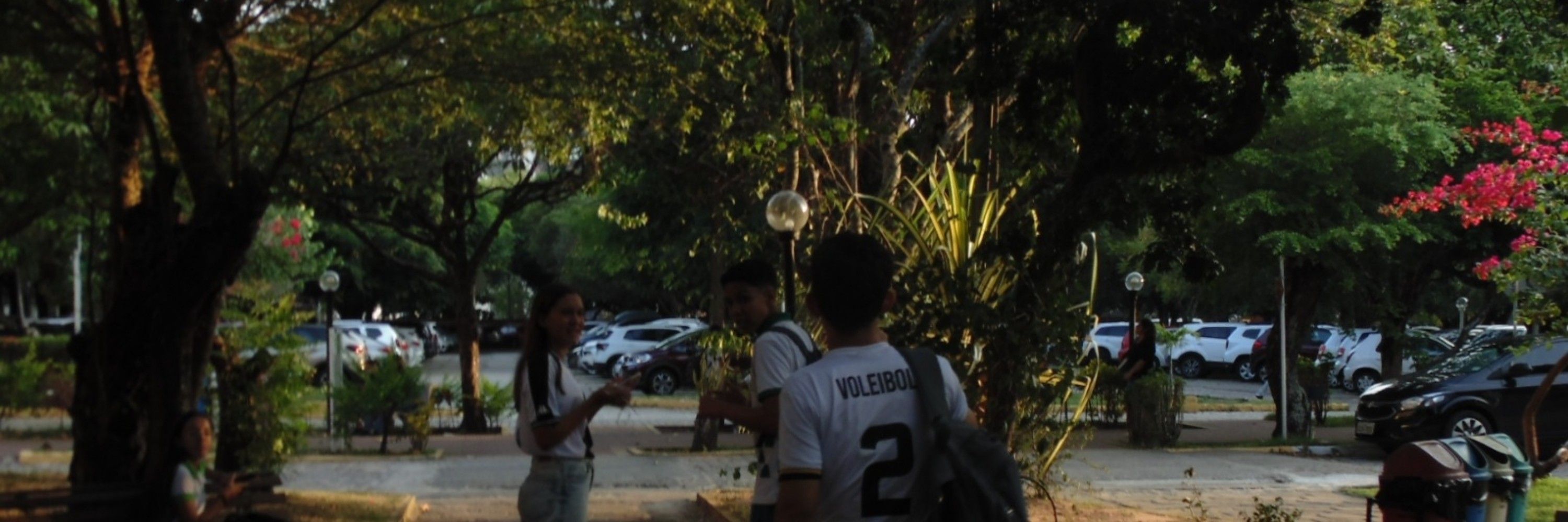 andrezinhoo 