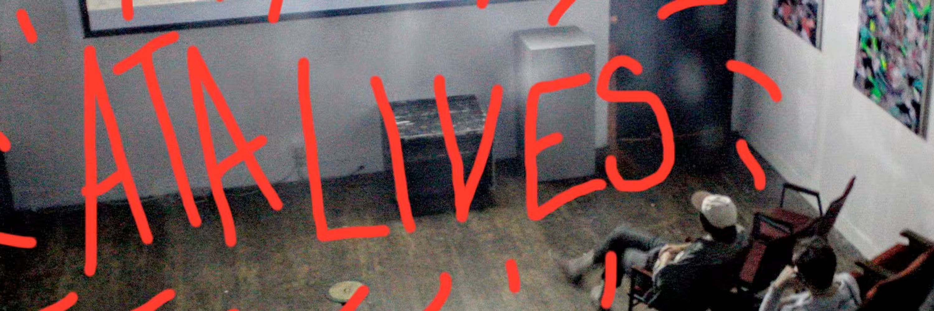 Artists' Television Access