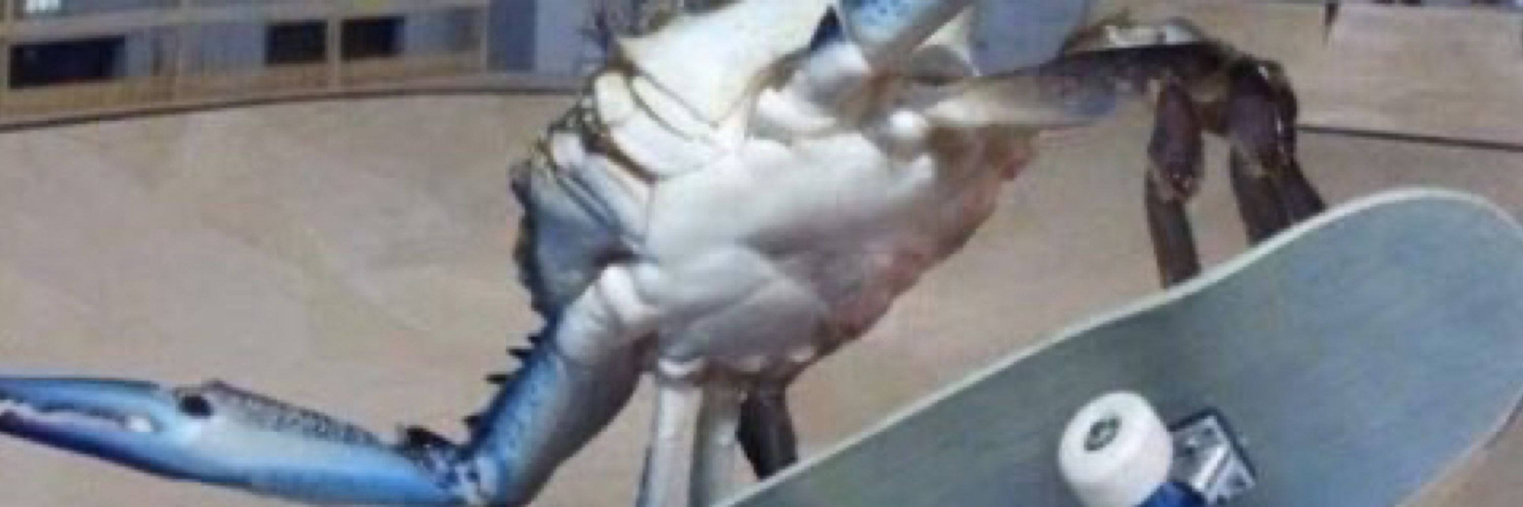 Hugh Janus da Horseshoe Crab