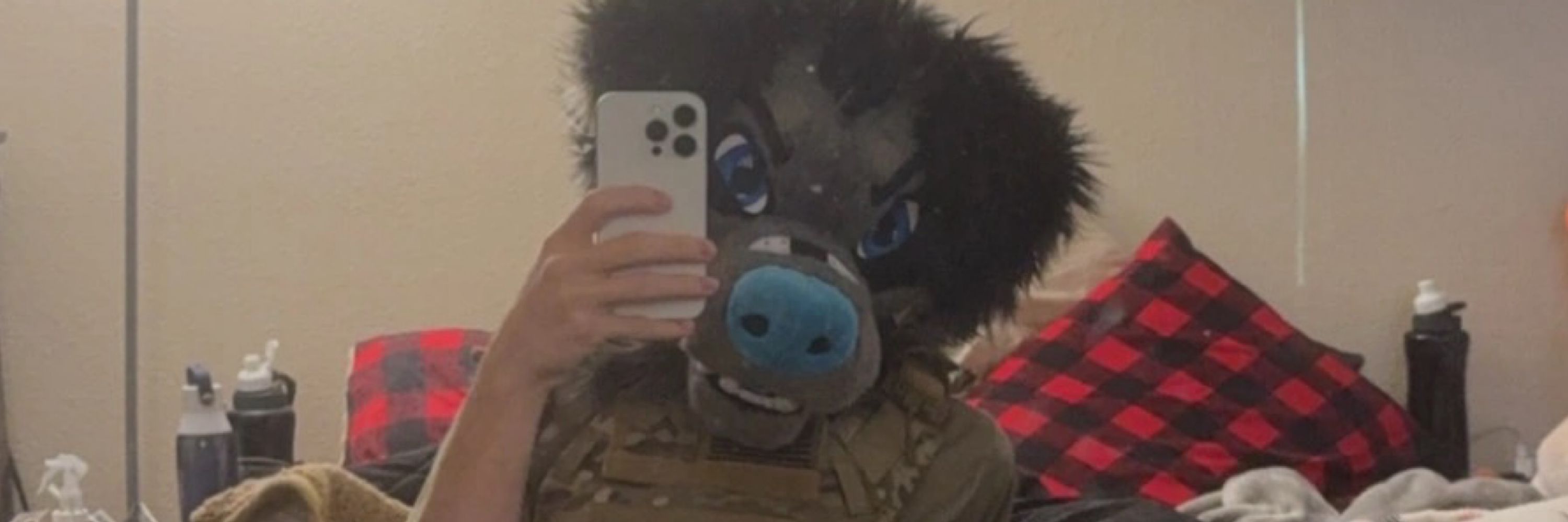 LilWolvies