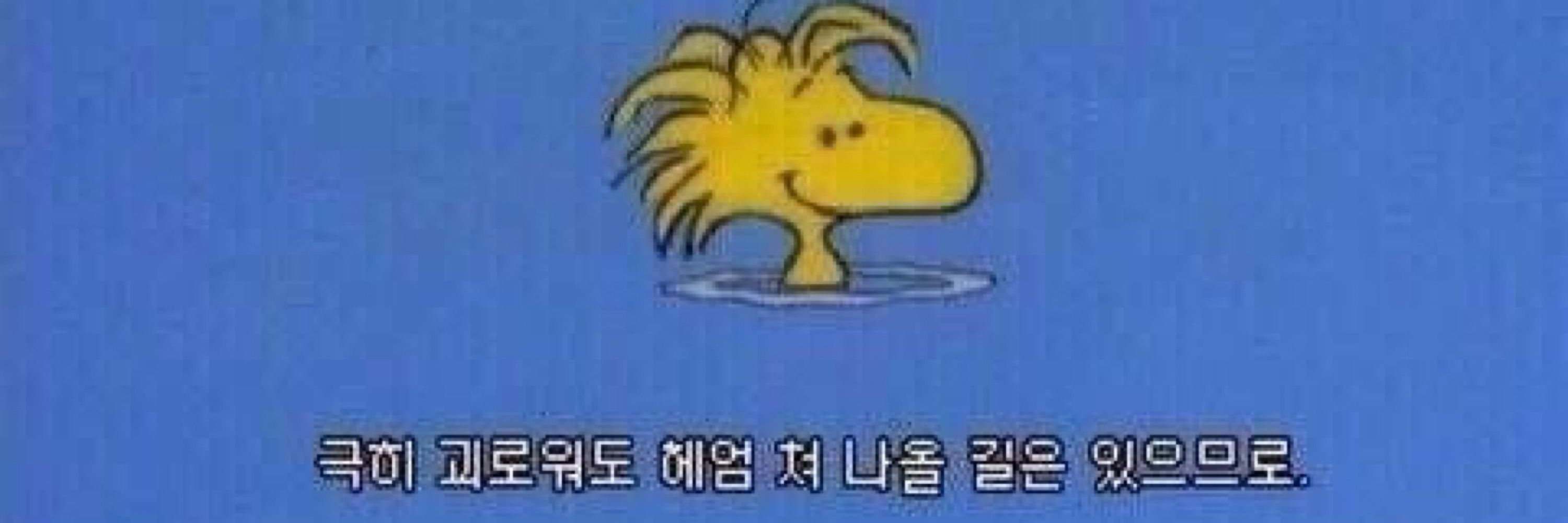 박세창