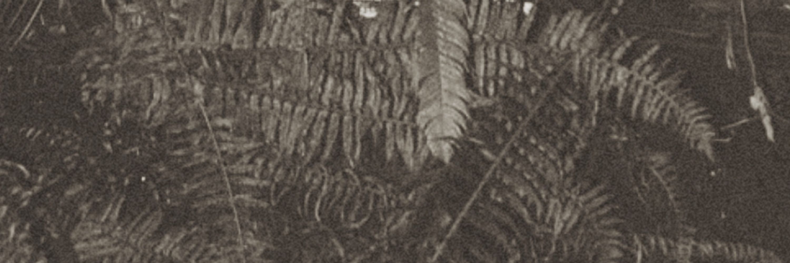 ganymede