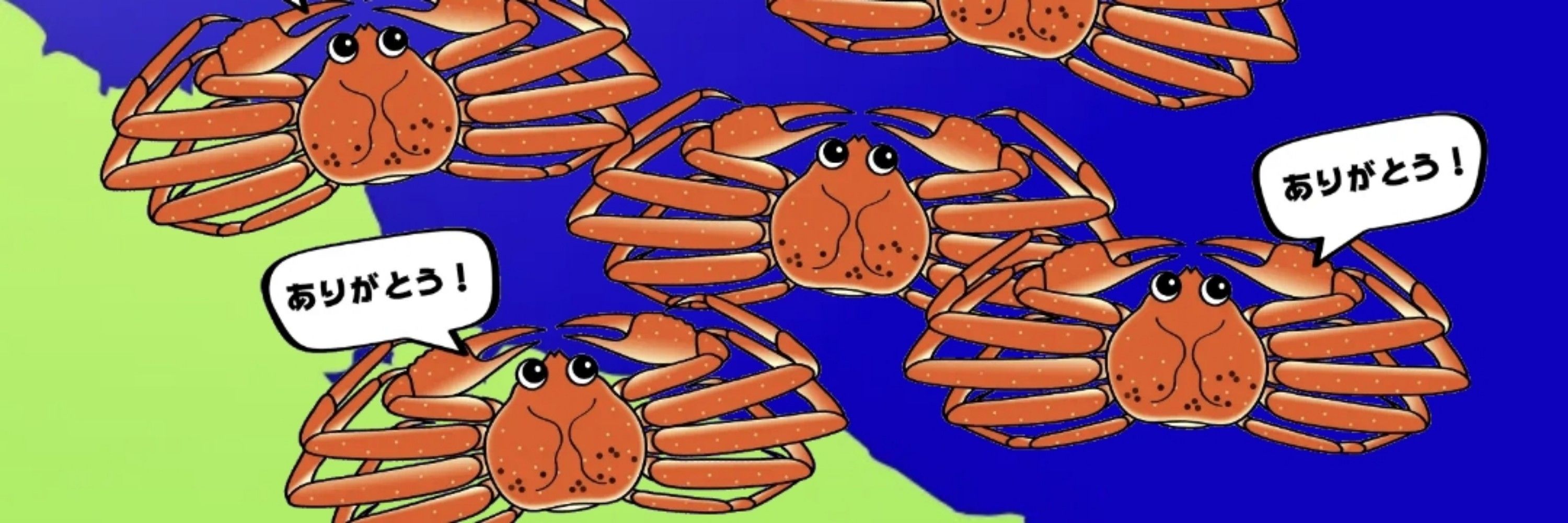 ヒカル