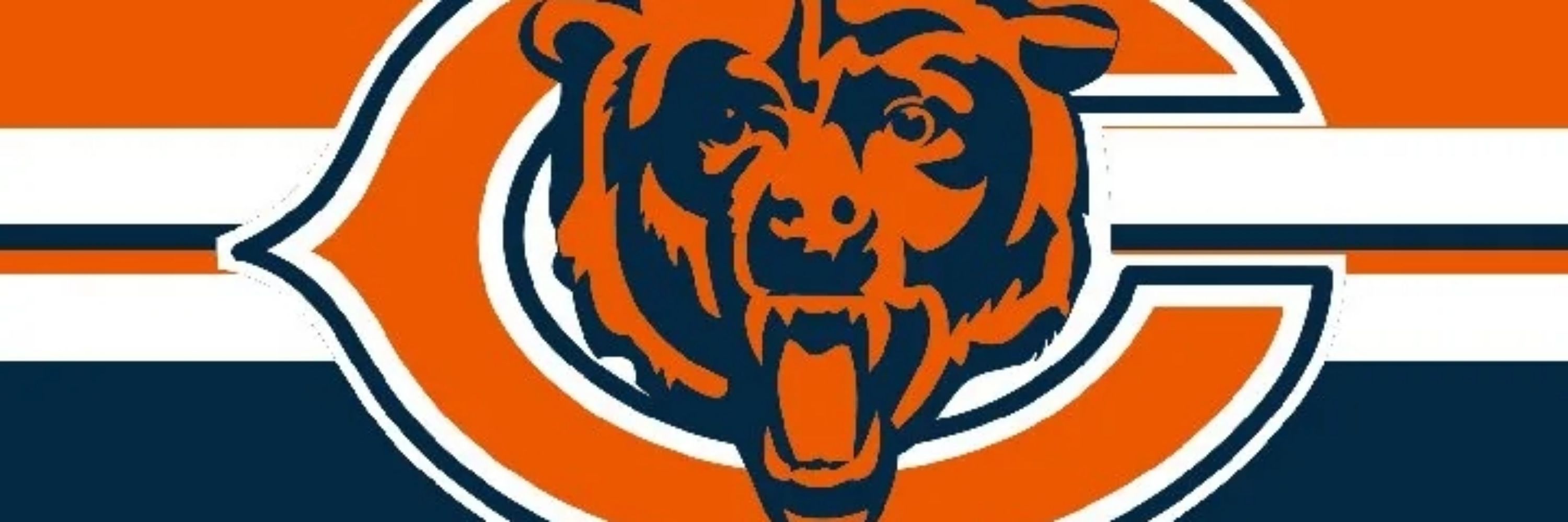 The Bears Junkie