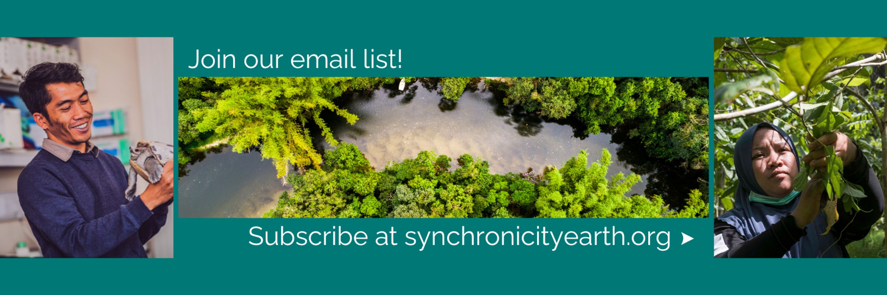 Synchronicity Earth