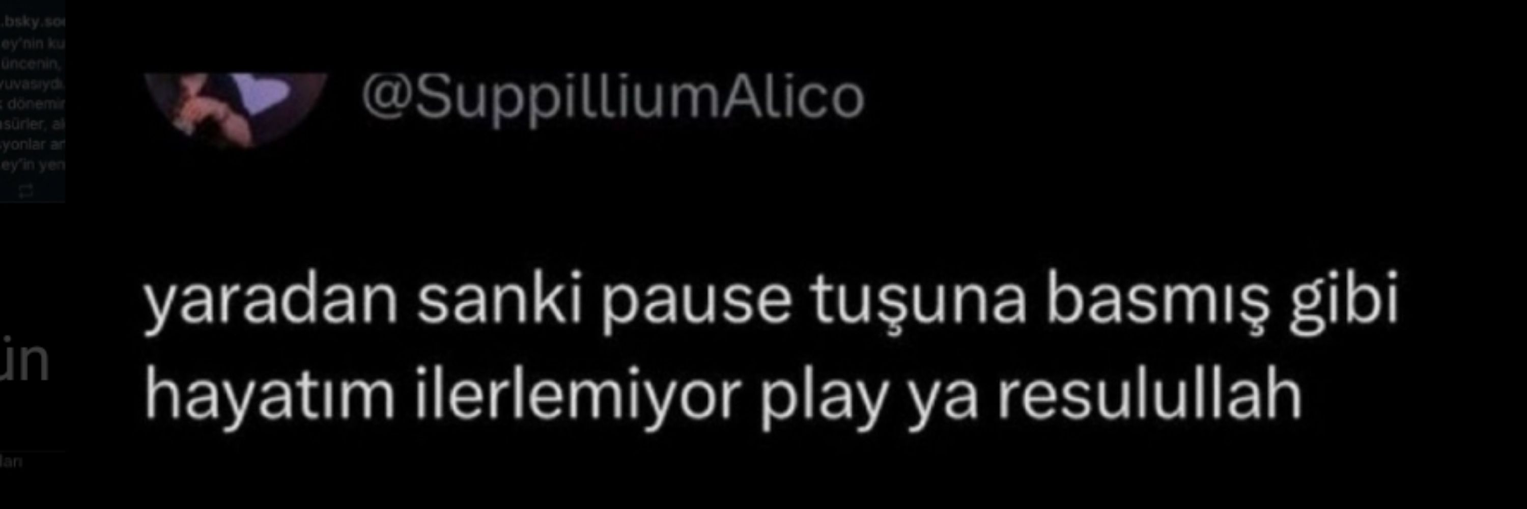 guli