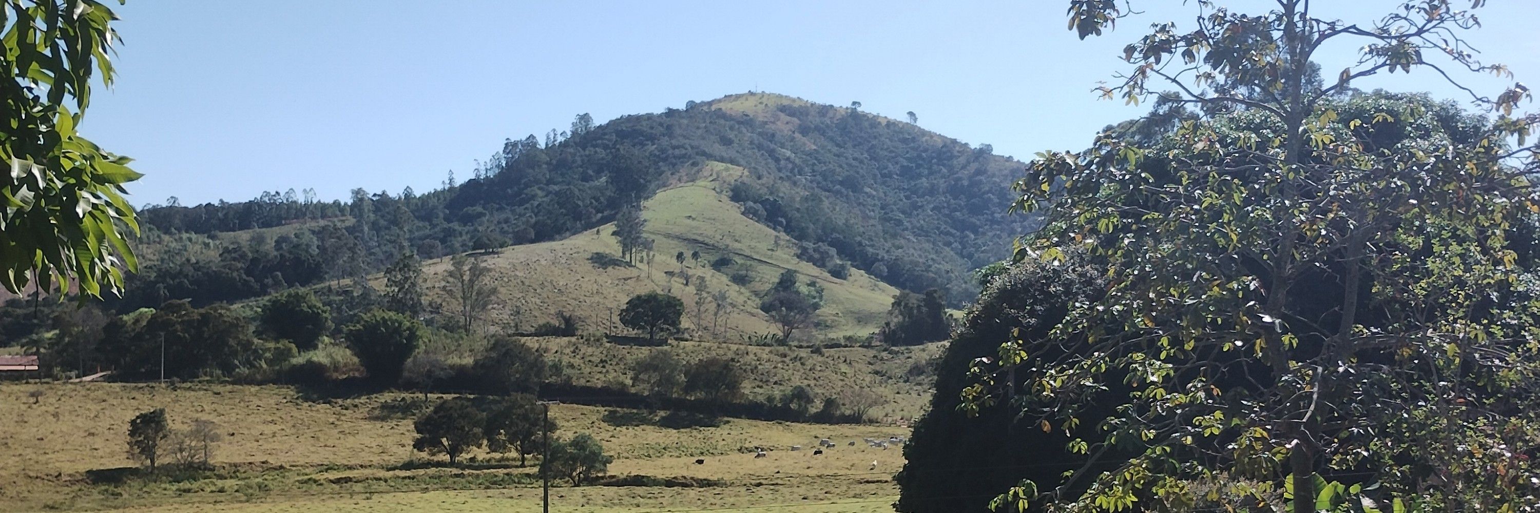 Giseli 