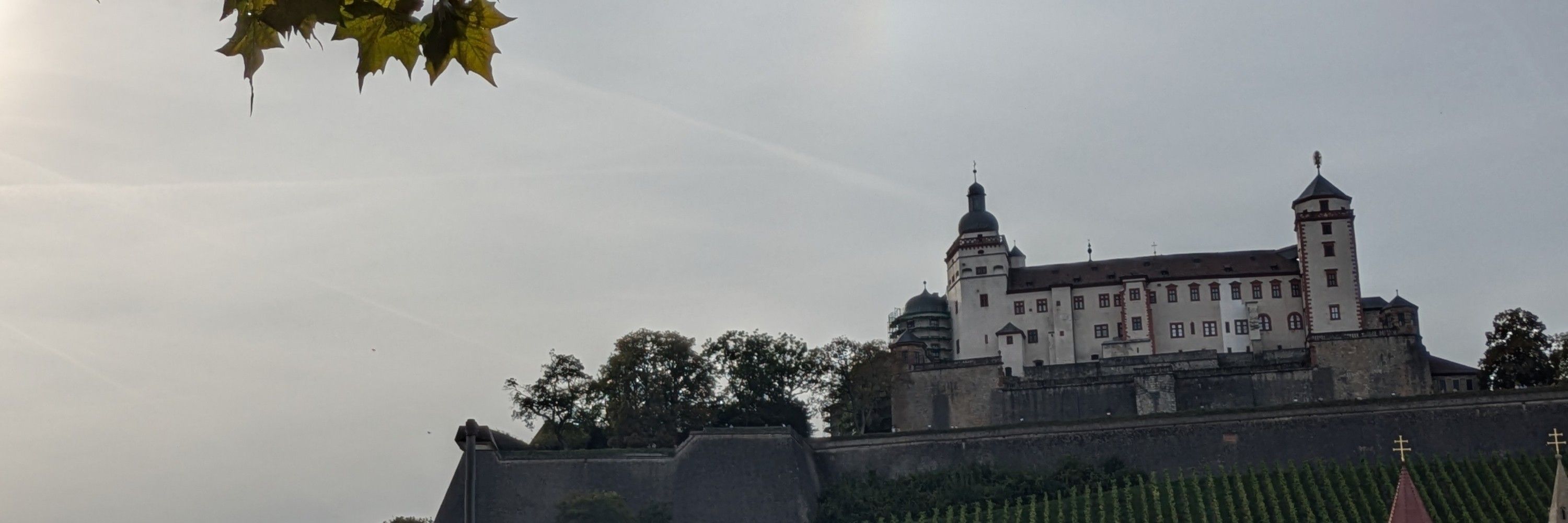Tomko Settgast 