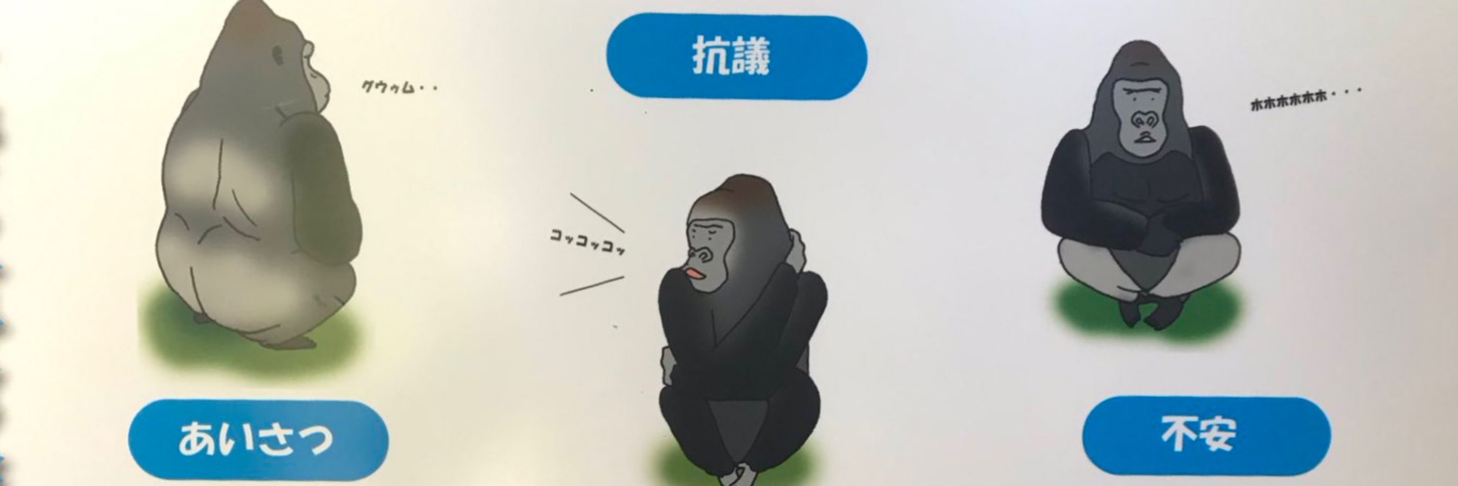 hamada