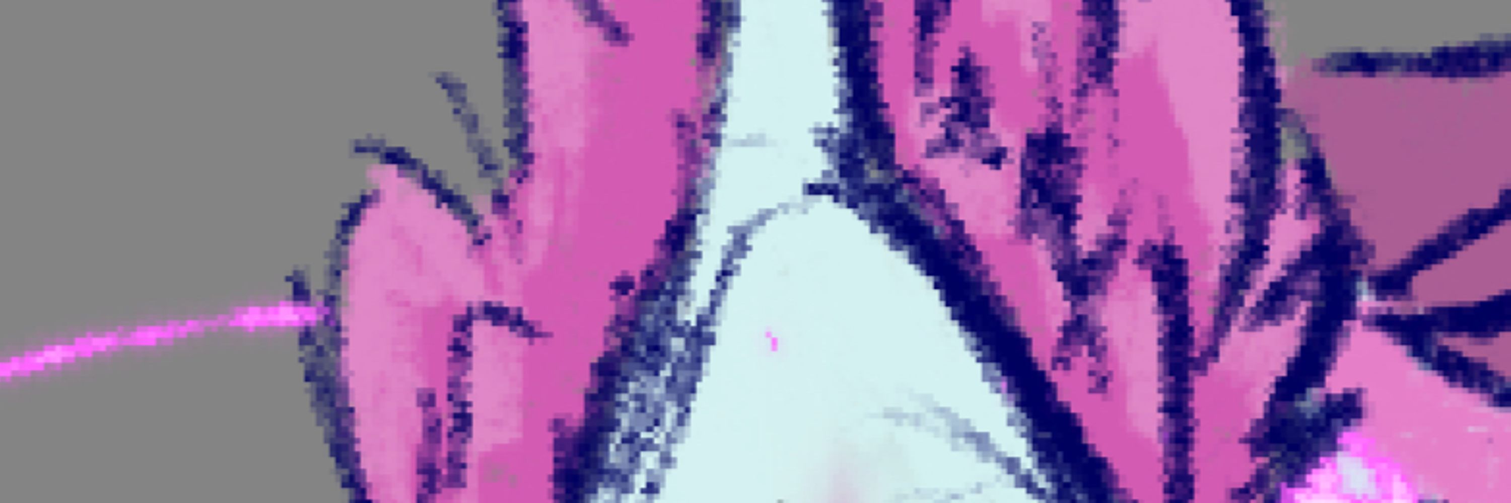 🌸𝔰𝔦𝔫𝔣𝔲𝔩 𝔯𝔬𝔰𝔢🌸