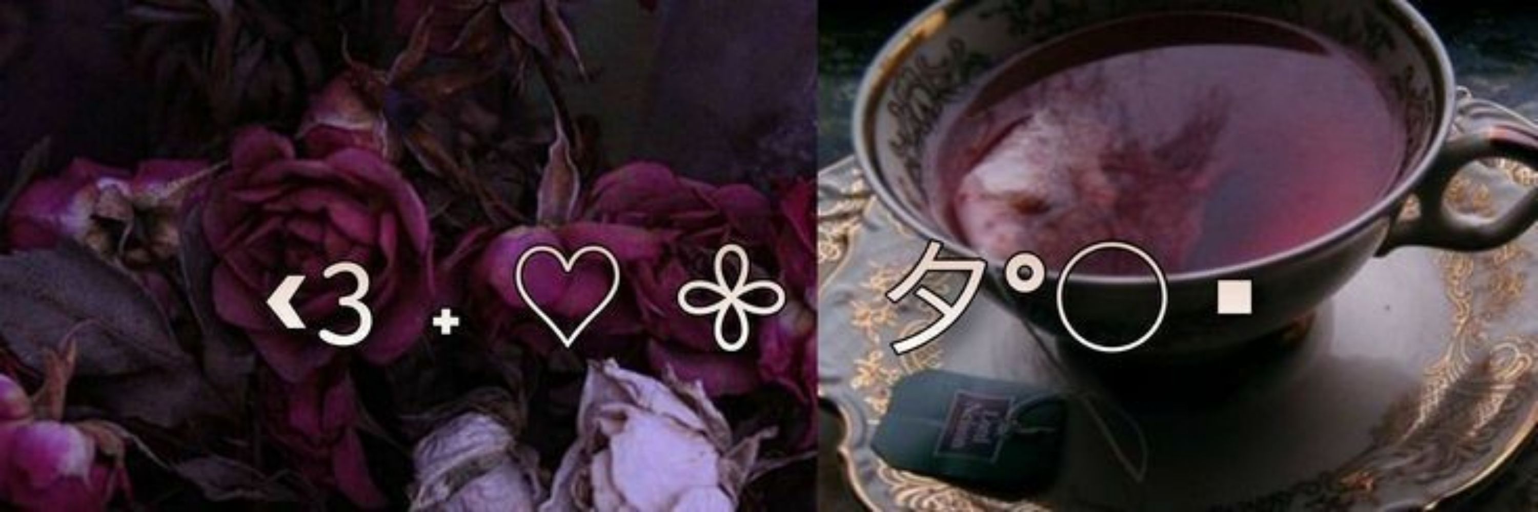 𝖒𝖚𝖑𝖙𝖎𝖕𝖑𝖊 𝖇𝖆𝖙𝖘. + ˚ ♡ .