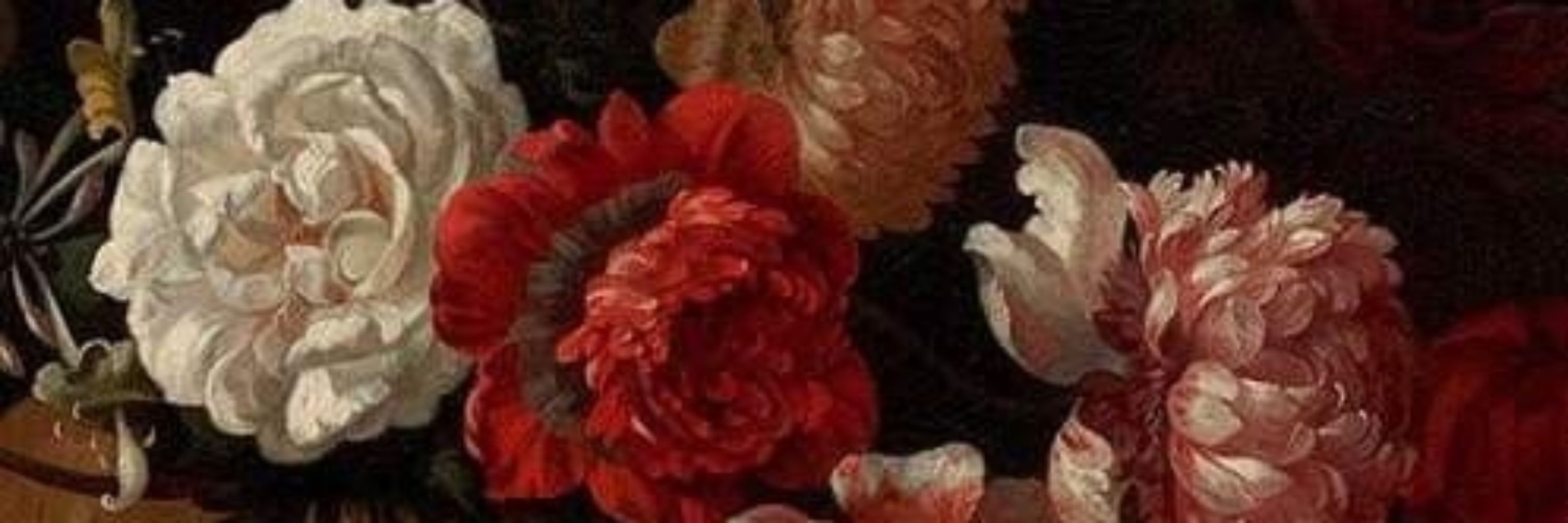 서련🥀
