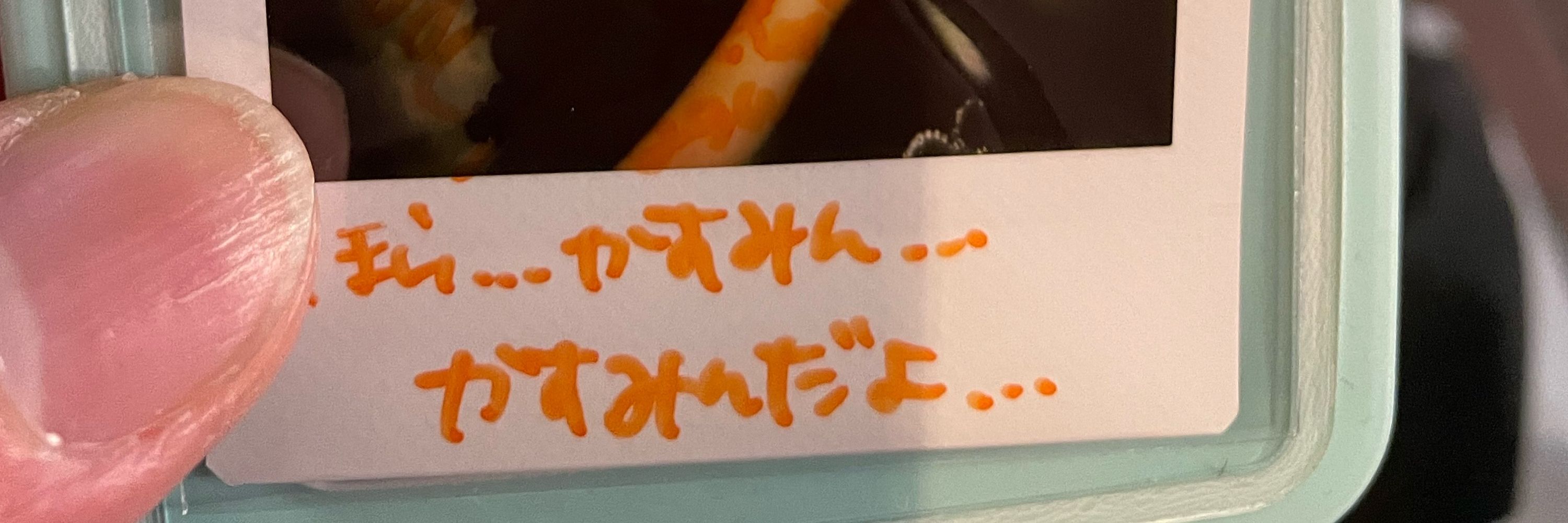 くまごろう