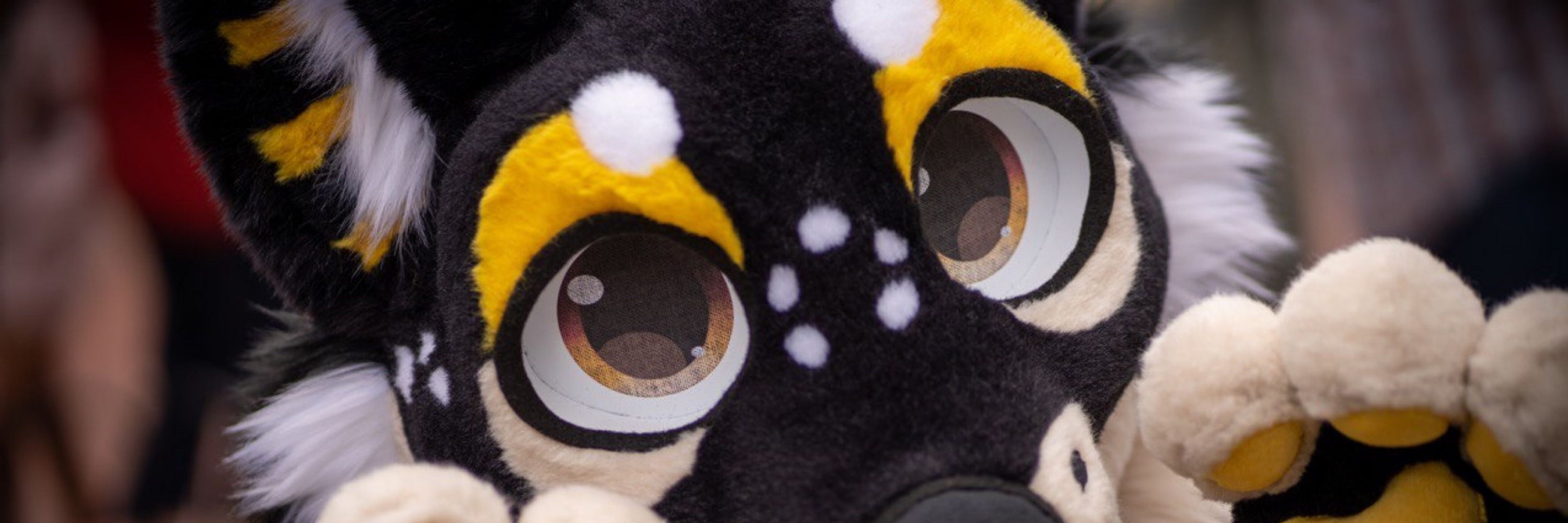 Kito 