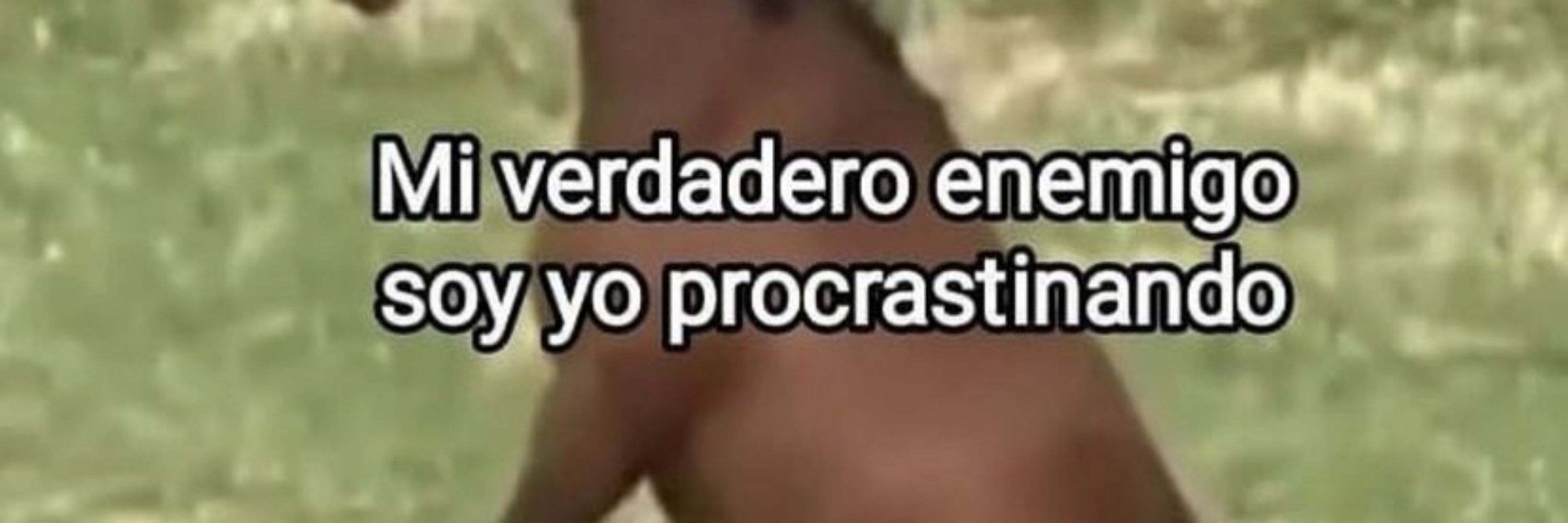 ✨️Concurseira Medíocre 👩‍💻