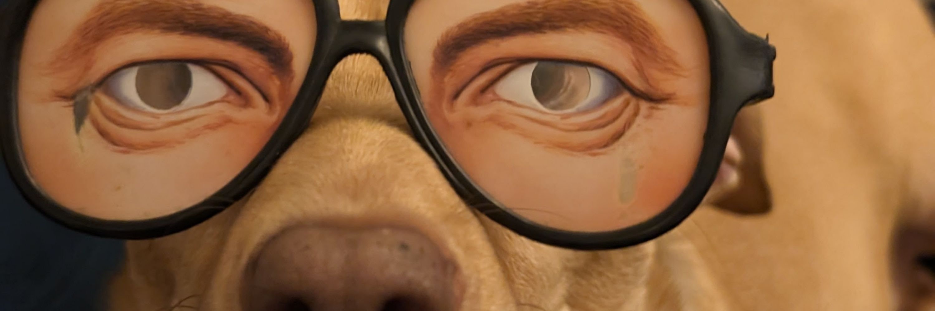 GeoffM