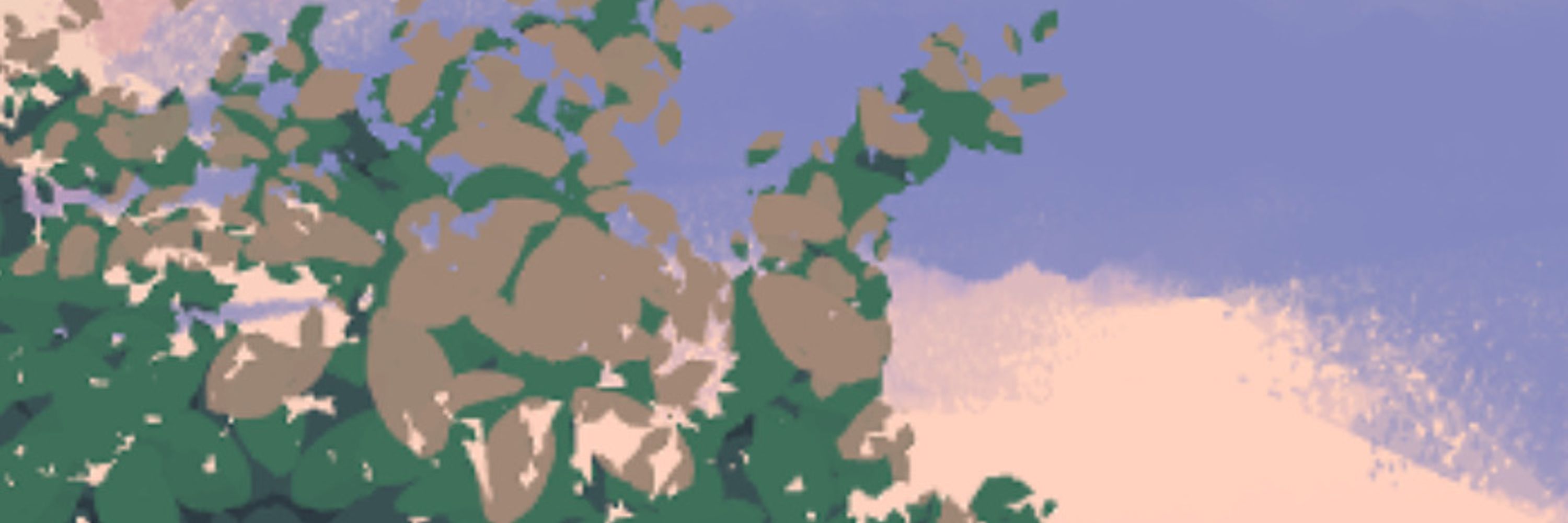 Nopu 🌿