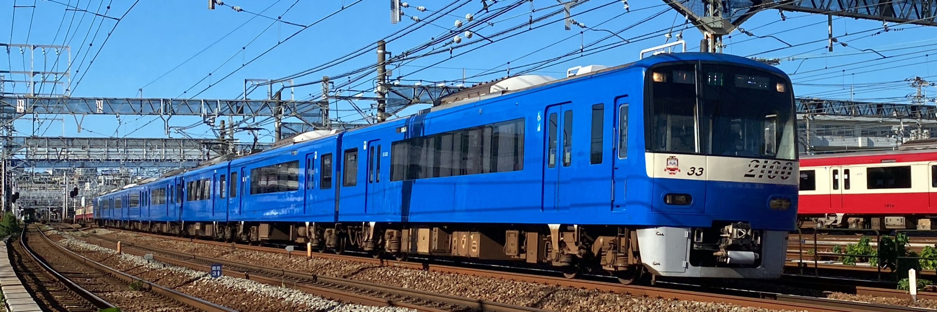 竜珊瑚ぶるー