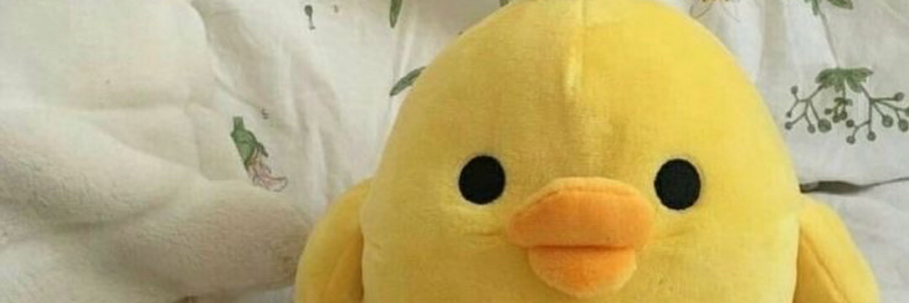 🐤🐥