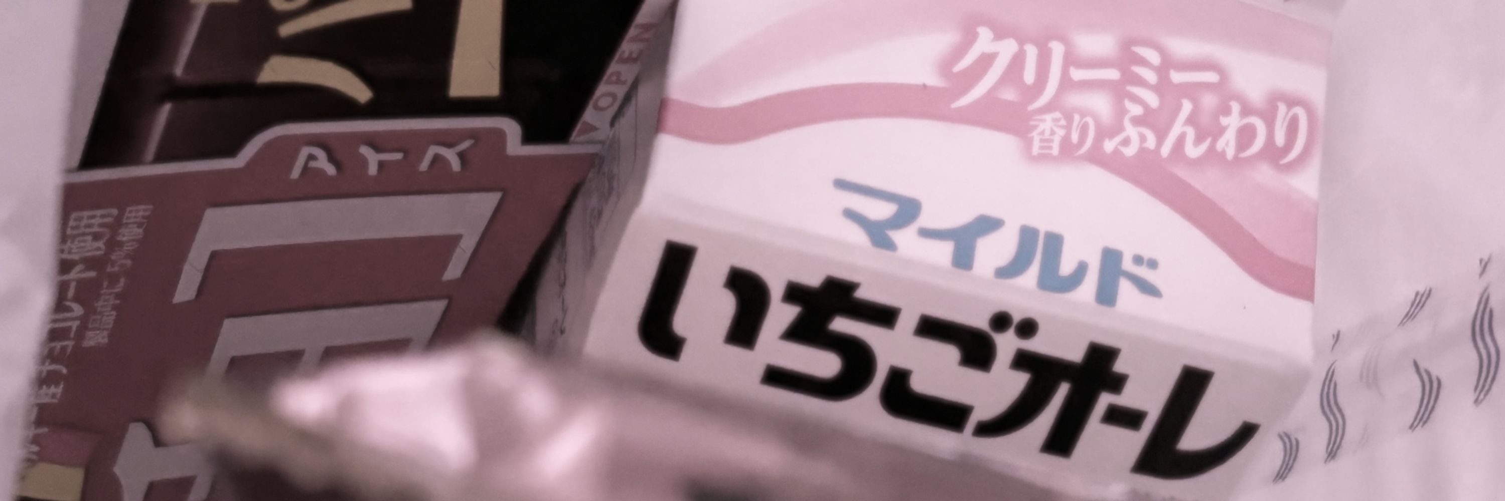 社不