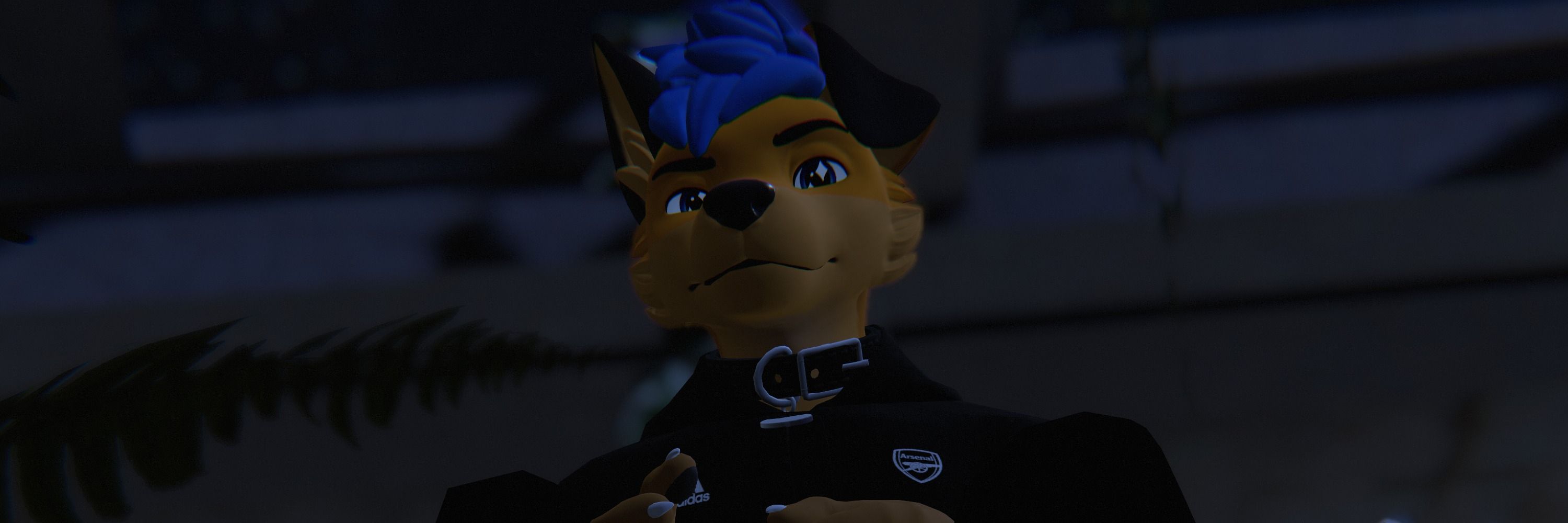 Dinko 